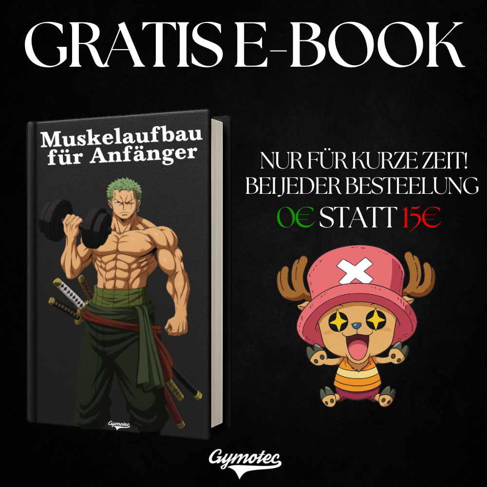 Aufklärungstrupp AOT - Premium Hoodie