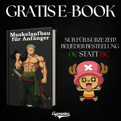 Aufklärungstrupp AOT - Premium Hoodie